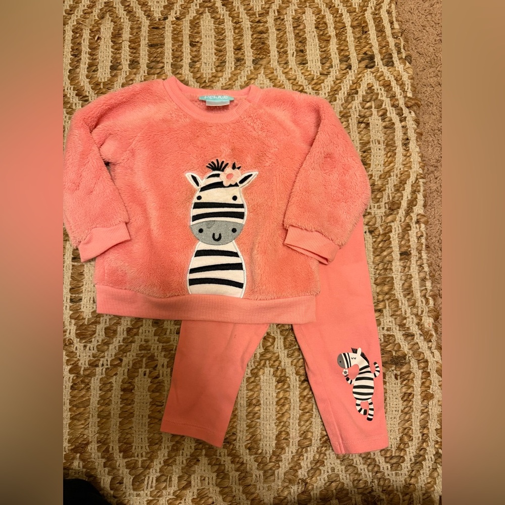 Kids' Pink Zebra Fleece set
